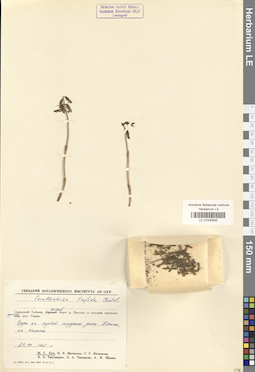 LE 01030933