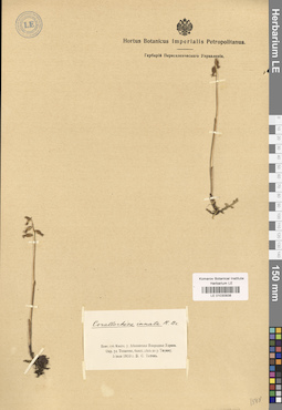 LE 01030938