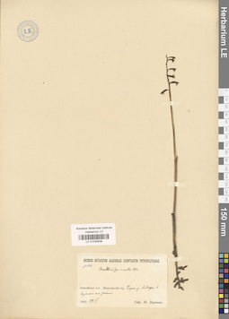 LE 01030939