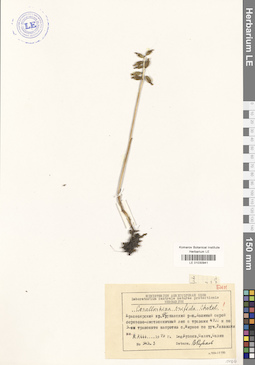 LE 01030941