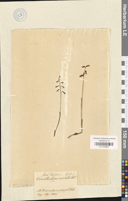 LE 01030947