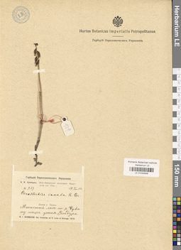 LE 01030948
