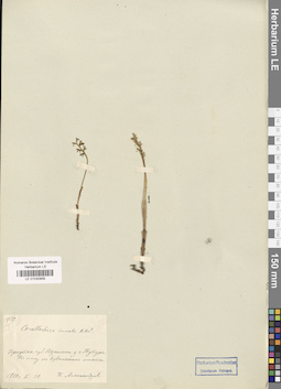 LE 01030958