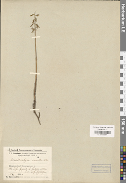 LE 01030967