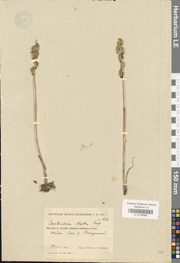 LE 01030968