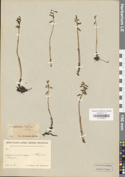 LE 01030973