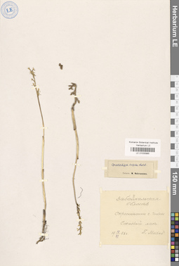 LE 01030985