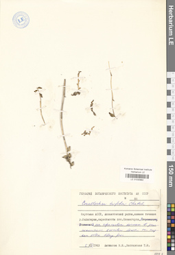 LE 01030992