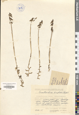 LE 01030994