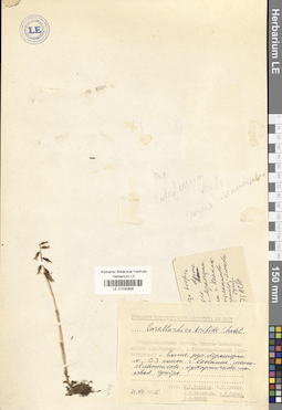 LE 01030995