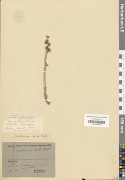 LE 01030997