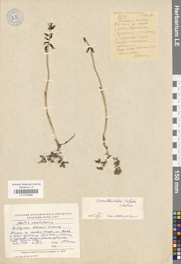 LE 01030998
