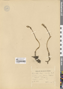 LE 01286817