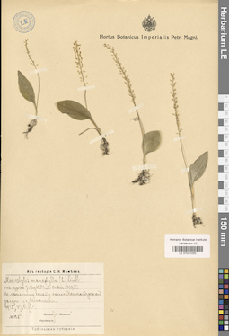 LE 01031220