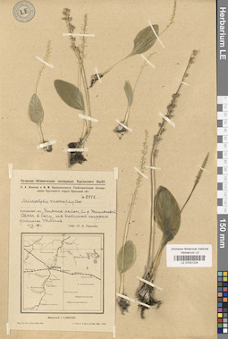 LE 01031224