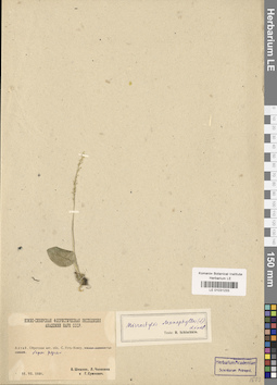 LE 01031233