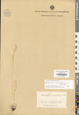 LE 01031248
