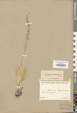 LE 01031266