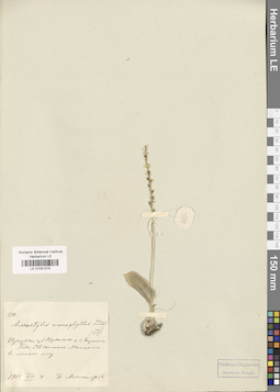 LE 01031274
