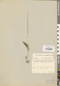 LE 01031277