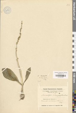 LE 01031279