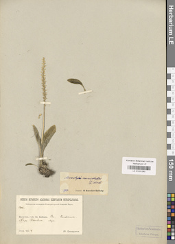 LE 01031280