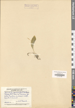 LE 01031288