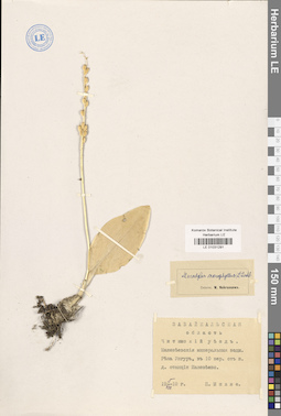 LE 01031291