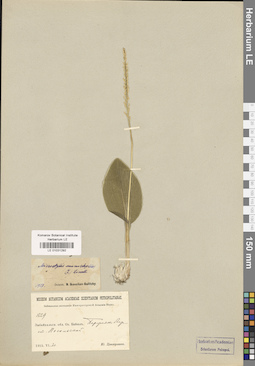 LE 01031292