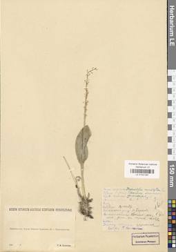LE 01031297