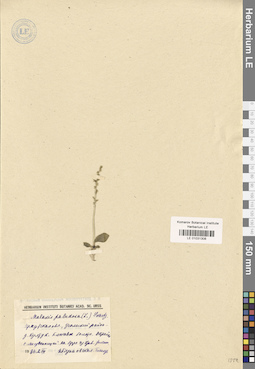 LE 01031308