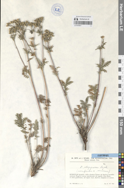 LE 01070417