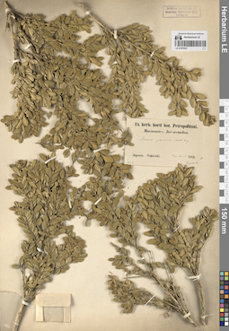 LE 01070421