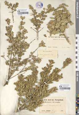 LE 01070423