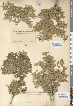 LE 01070430