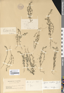 LE 01070435