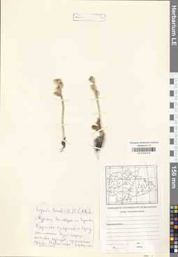 LE 01031314