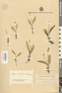 LE 01031319