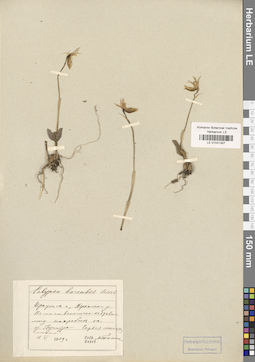 LE 01031357