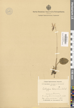 LE 01031362