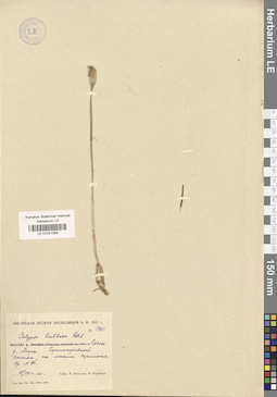 LE 01031364