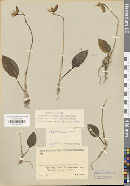 LE 01031367