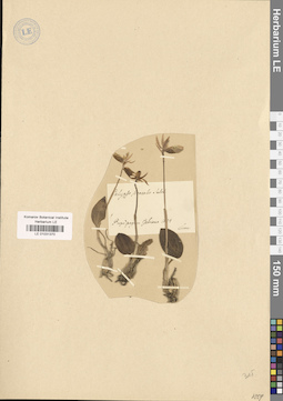 LE 01031370