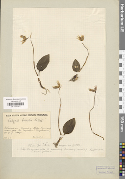 LE 01031371