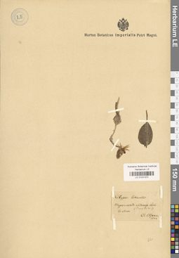 LE 01031372