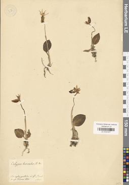 LE 01031377