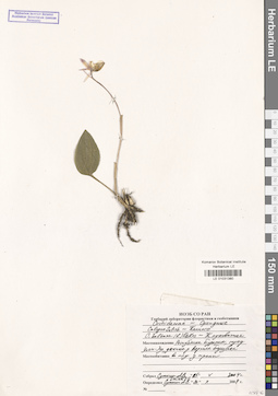 LE 01031380