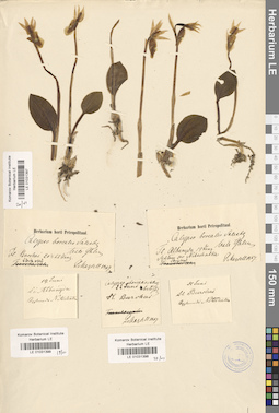 LE 01031397