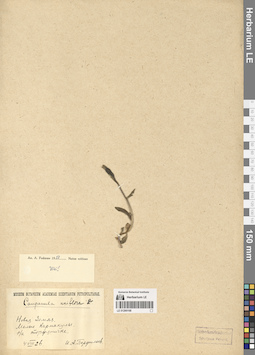 LE 01290168