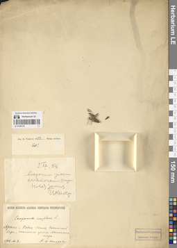 LE 01290176